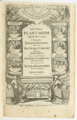 Bauhin/Cherler, Historia plantarum. 3 Bde.