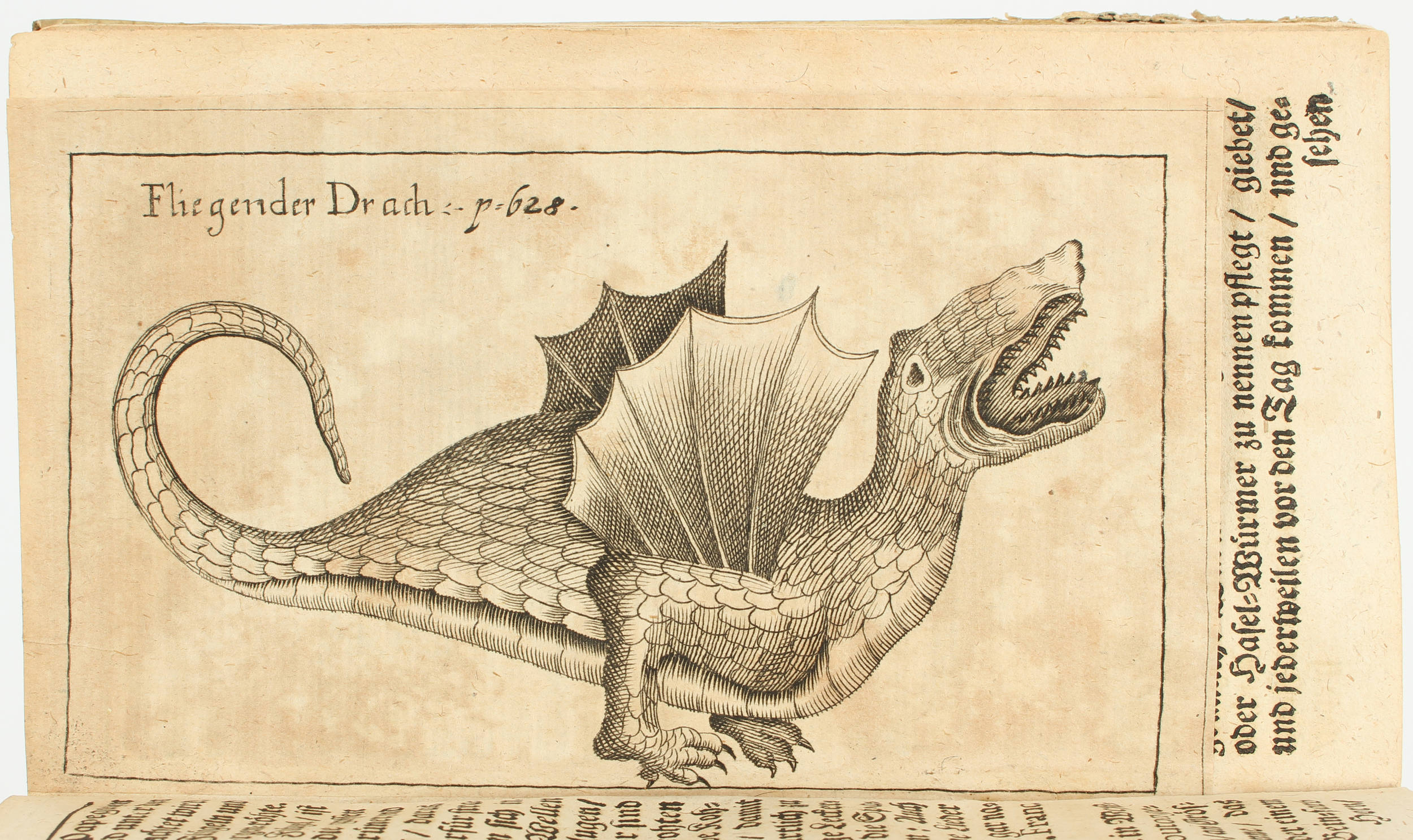 Seyfried, Mirabilium naturae, Wunder der Natur