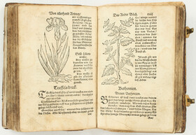 (Ryff), Kurtzs Handtbüchlein