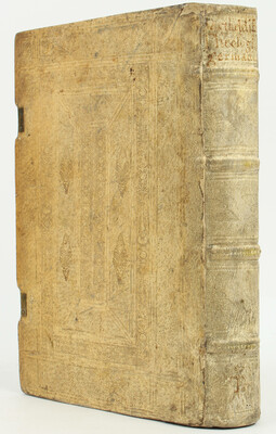 (Pürstinger), Tewtsche Theologey