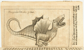 Seyfried, Mirabilium naturae, Wunder der Natur