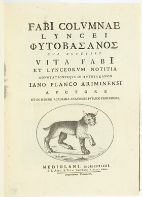 Colonna, Phytobasanos