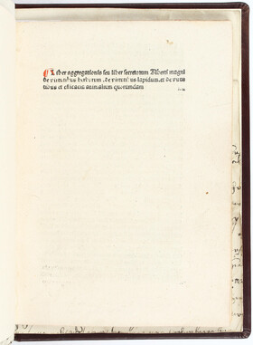 Albertus Magnus, Liber aggregationis. Köln 1499/1500