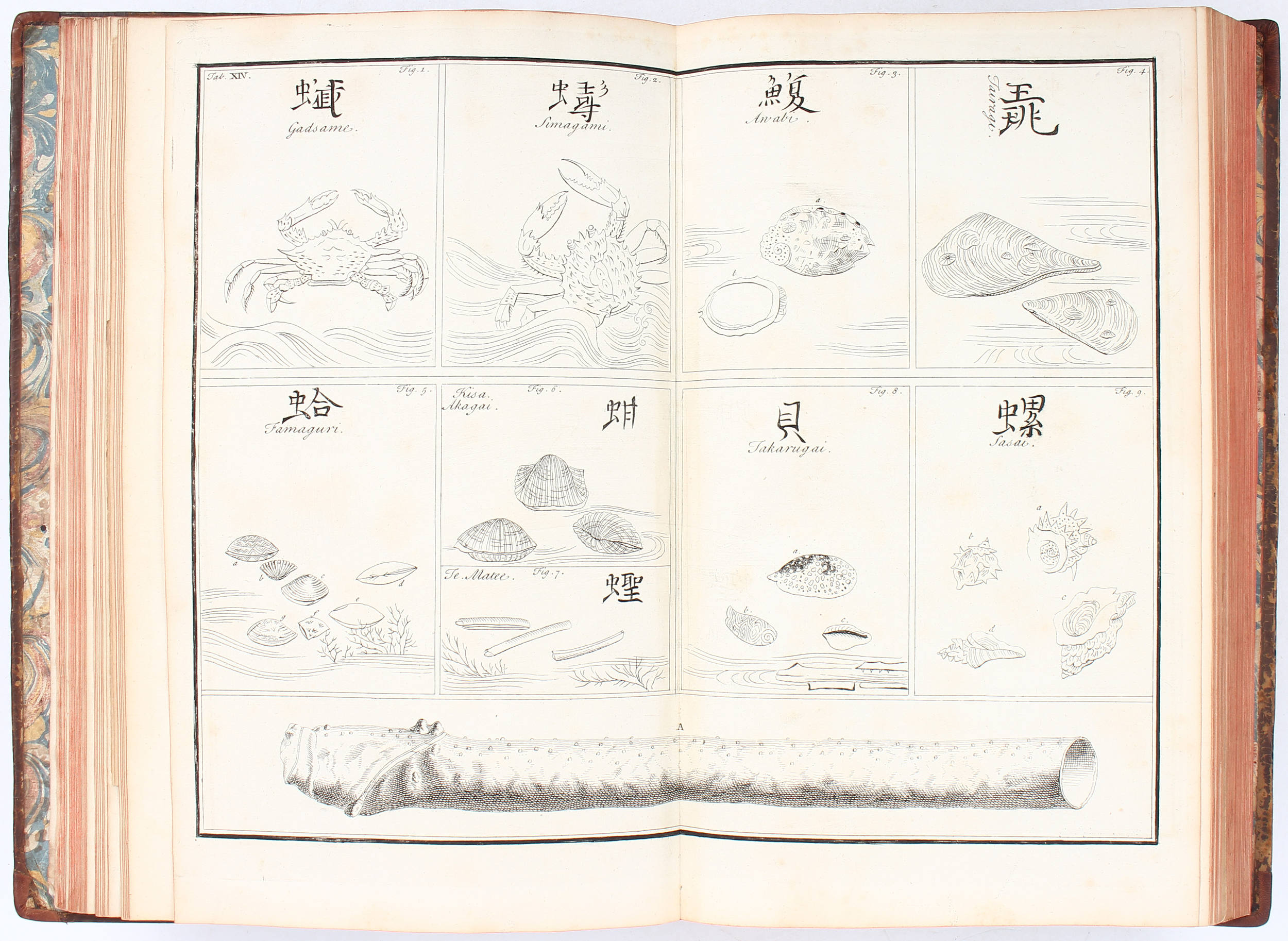 Kaempfer, Histoire du Japon. 2 Bde.
