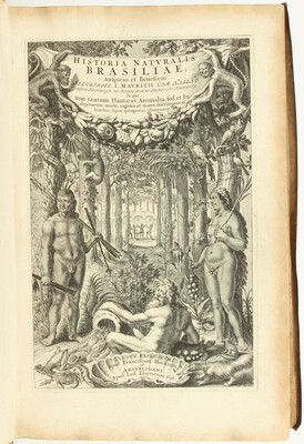 Piso/Markgraf, Historia Brasiliae