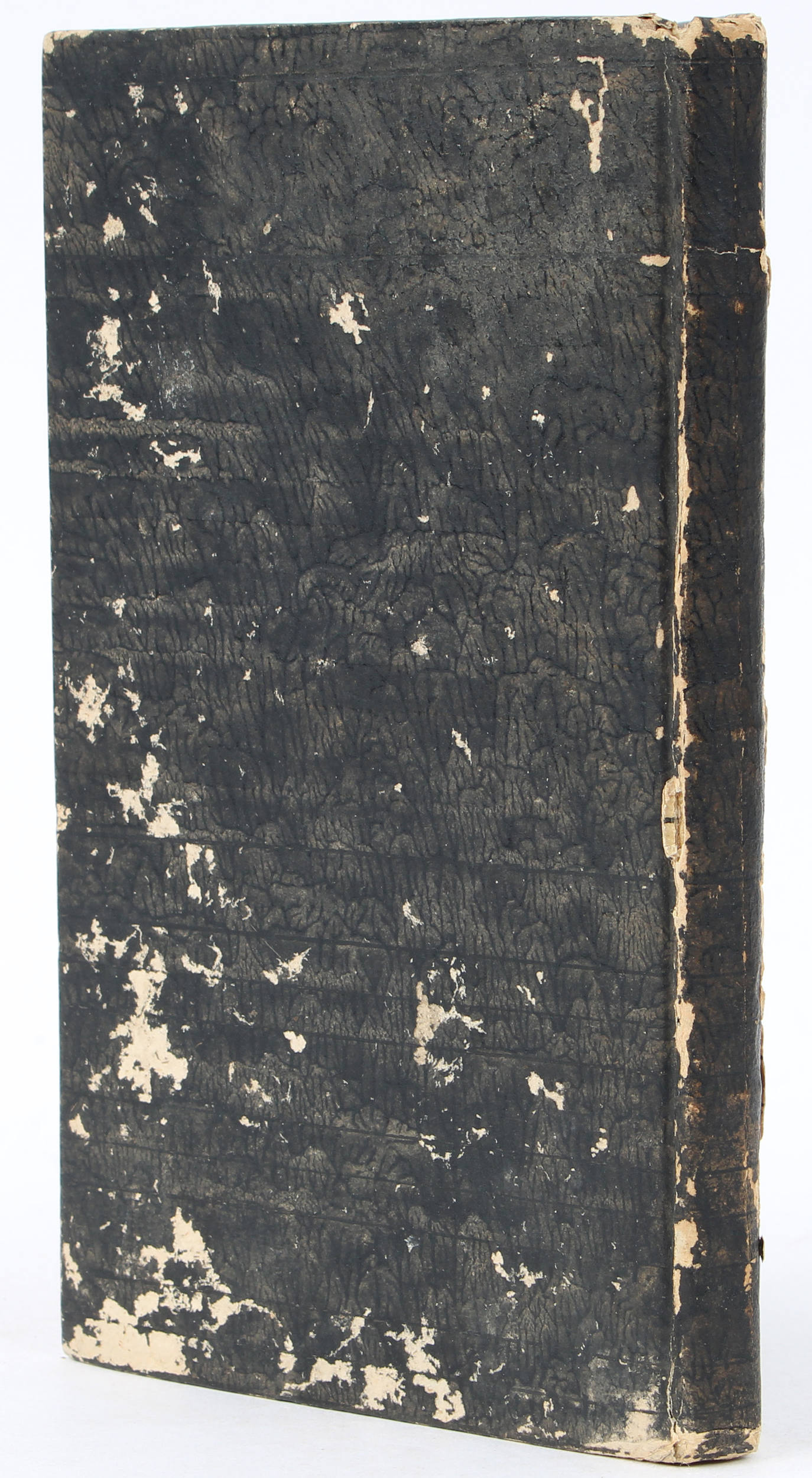 Kant, Politische Meinungen