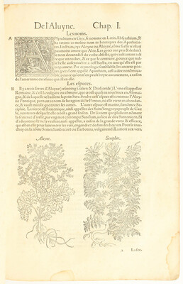 Fuchs, Histoire des plantes
