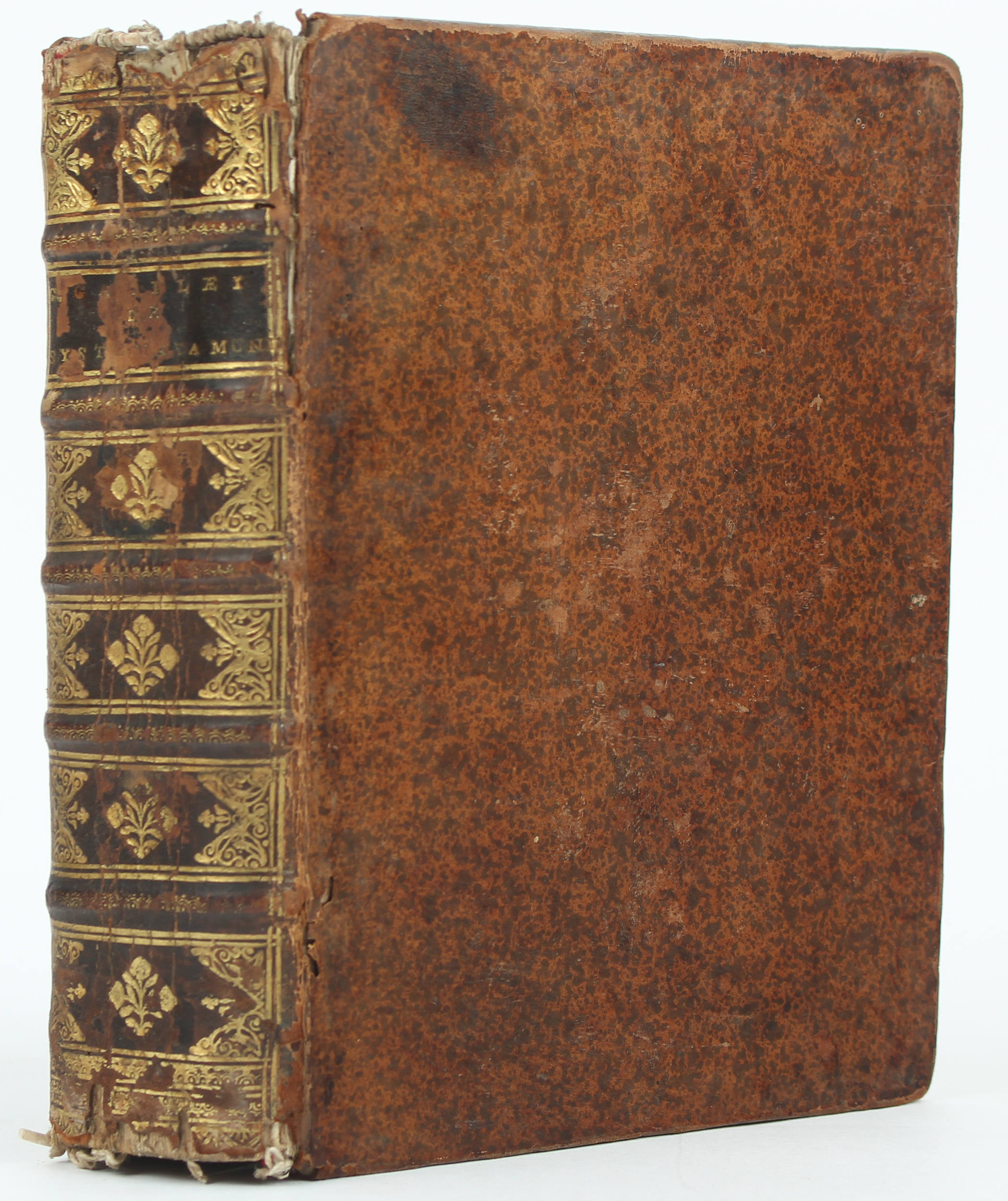 Galilei, Systema cosmicum. 1699