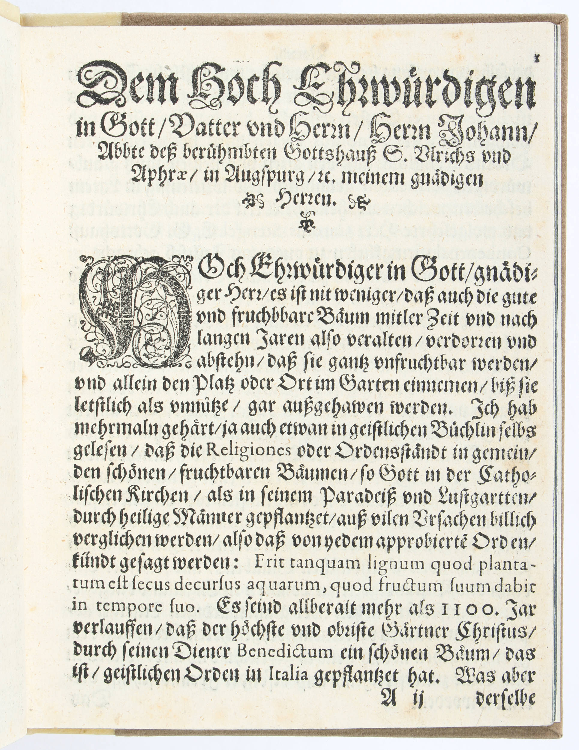 Schädlin, Warhaffter Bericht