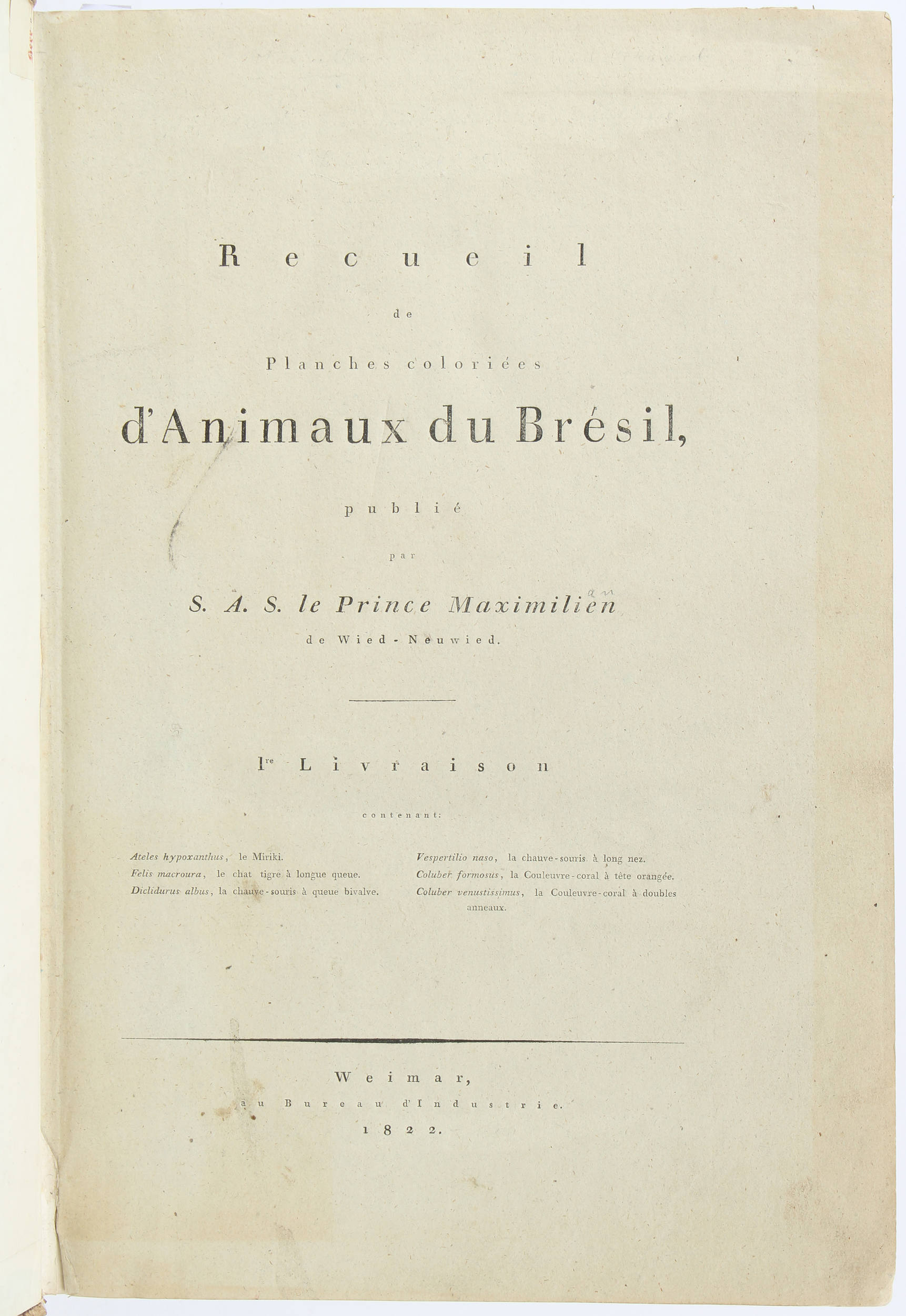 Maximilian, Abbildungen zur Naturgeschichte Brasiliens