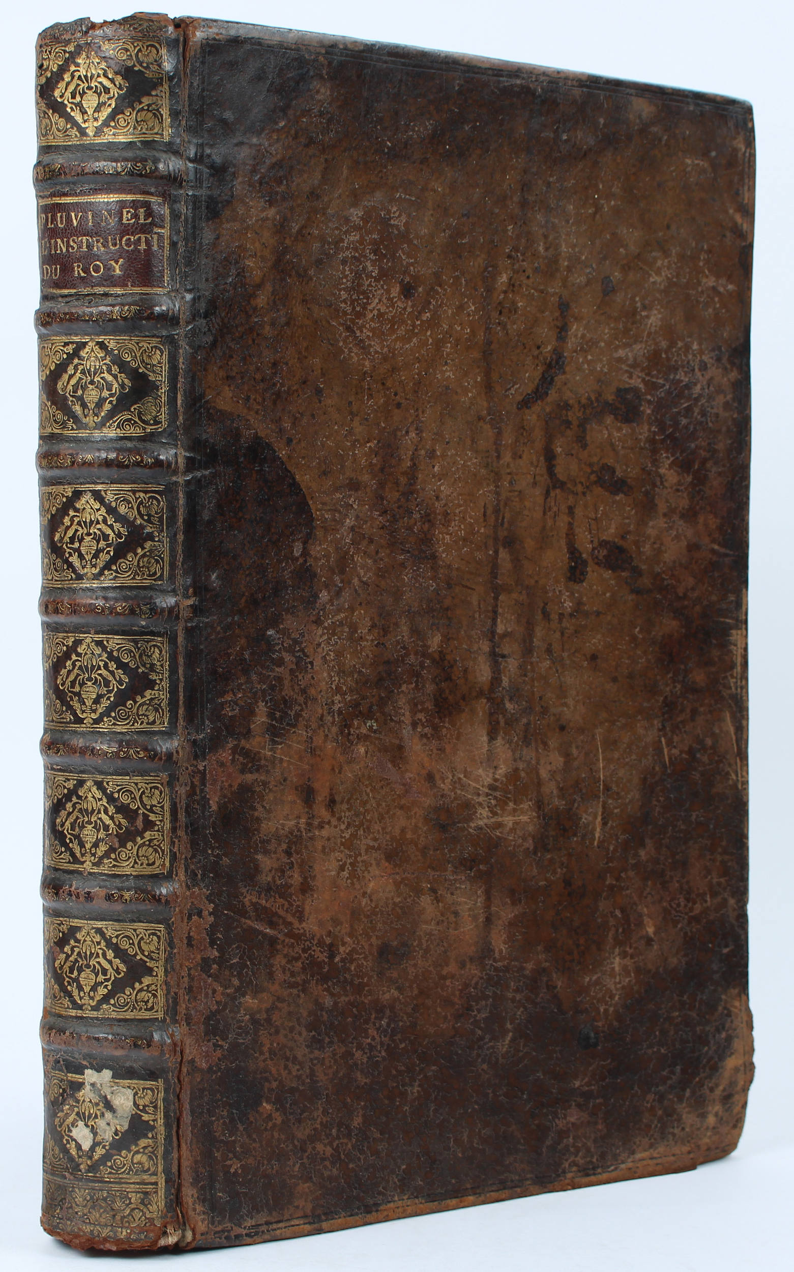 Pluvinel, L'instruction du Roy. Reitschule