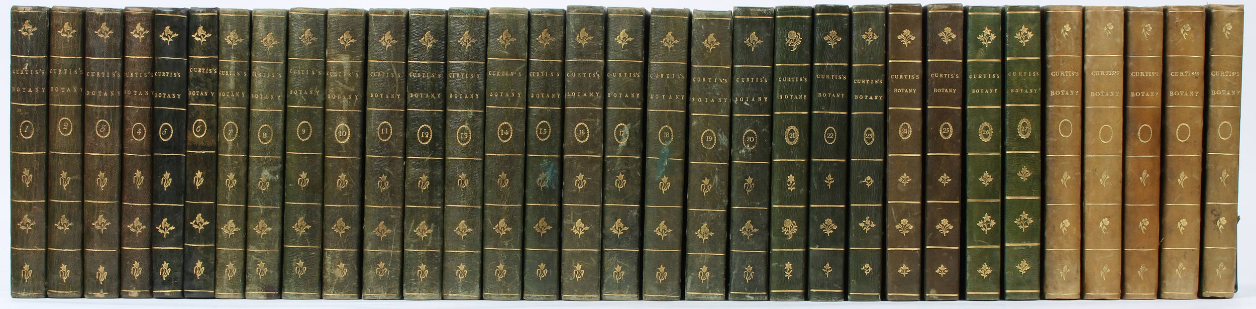 Curtis, Botanical Magazine. 32 Bde.