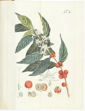 Langstedt, Thee, Kaffee und Zucker