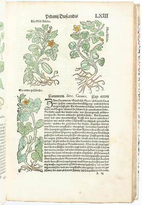 Dioscorides, Kreutter Buch