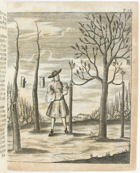 Hesse, Neue Garten-Lust