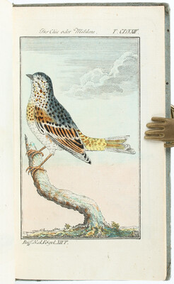 Buffon, Vögel. 18 Bde.