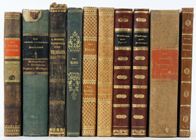 Das malerische und romantische Deutschland / 10 Bde.