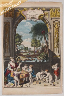 M. S. Merian, Kupfertitel 