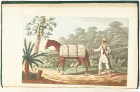 Koster, Voyages du Brésil. 2 Bde.