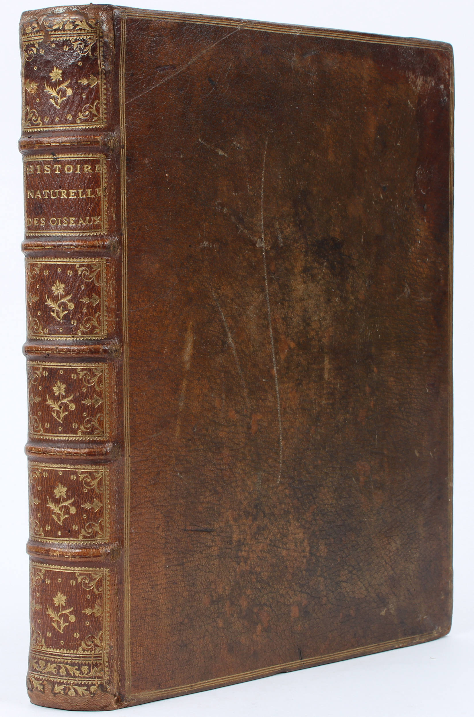 Ray, Histoire naturelle des oiseaux