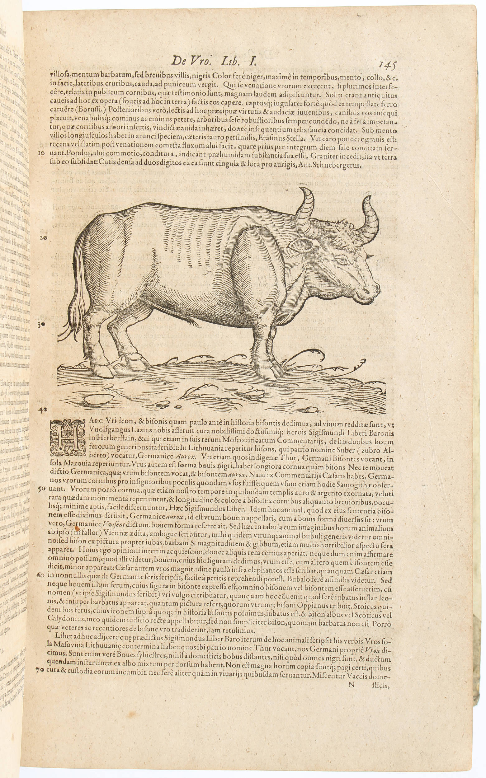 Gesner, Historiae animalium I-III