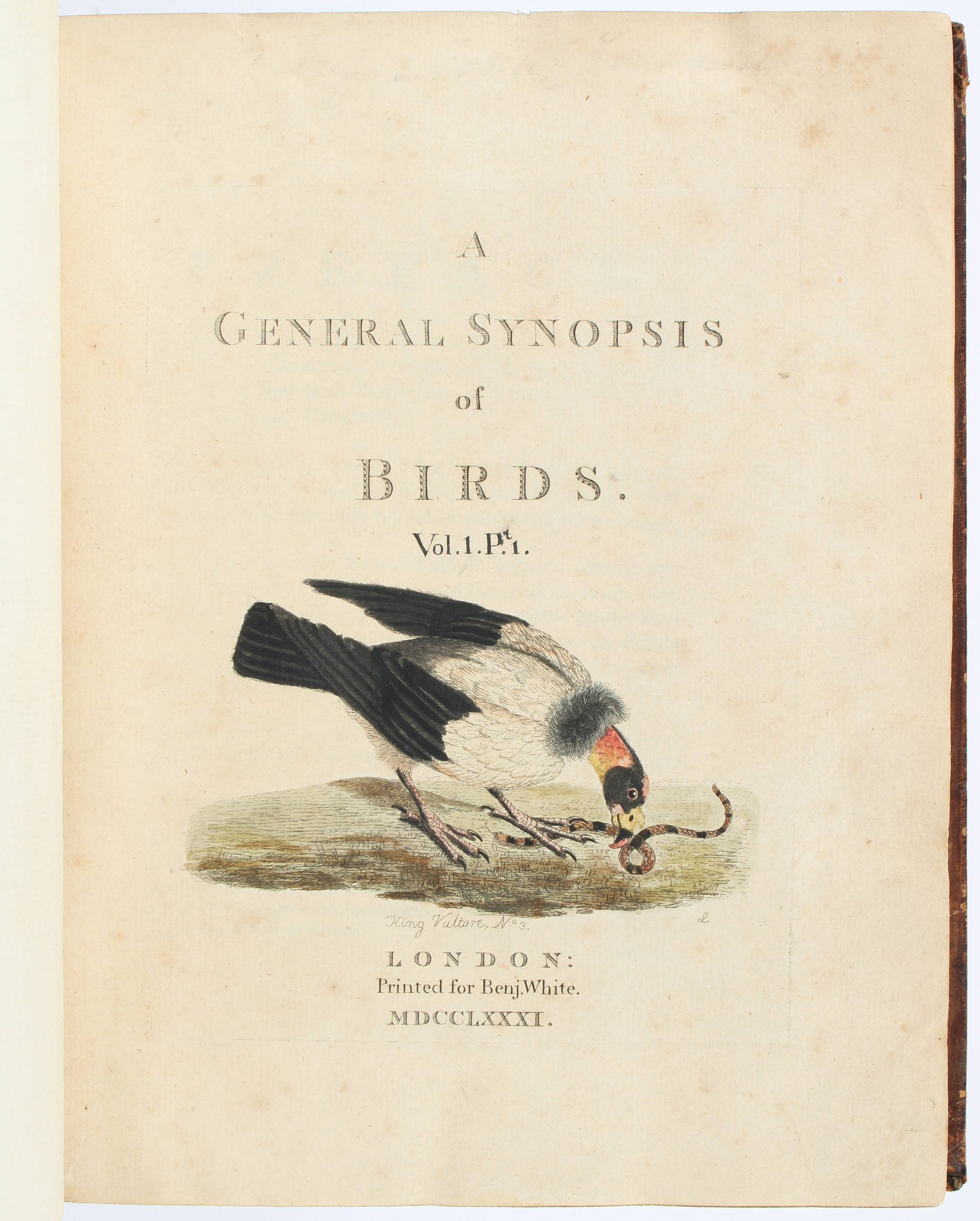 Latham, Synopsis of birds / 9 Bde.