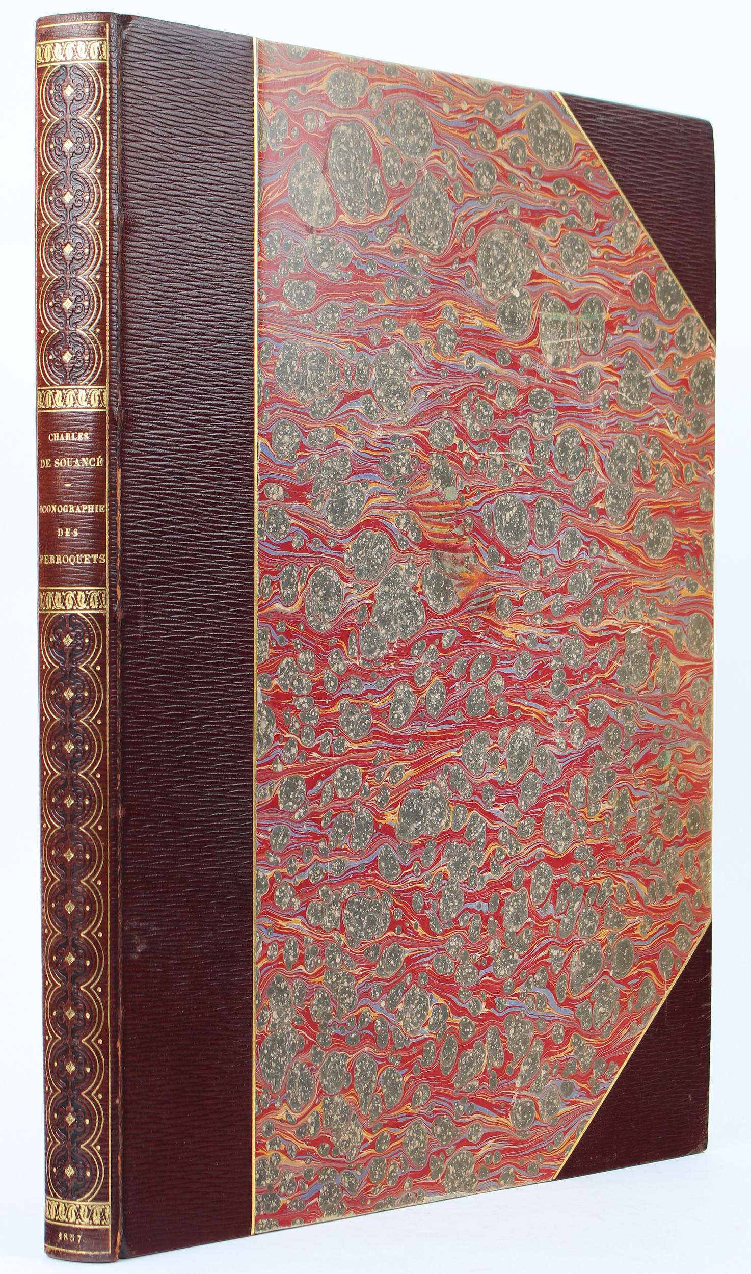 Souancé, Iconographie des perroquets