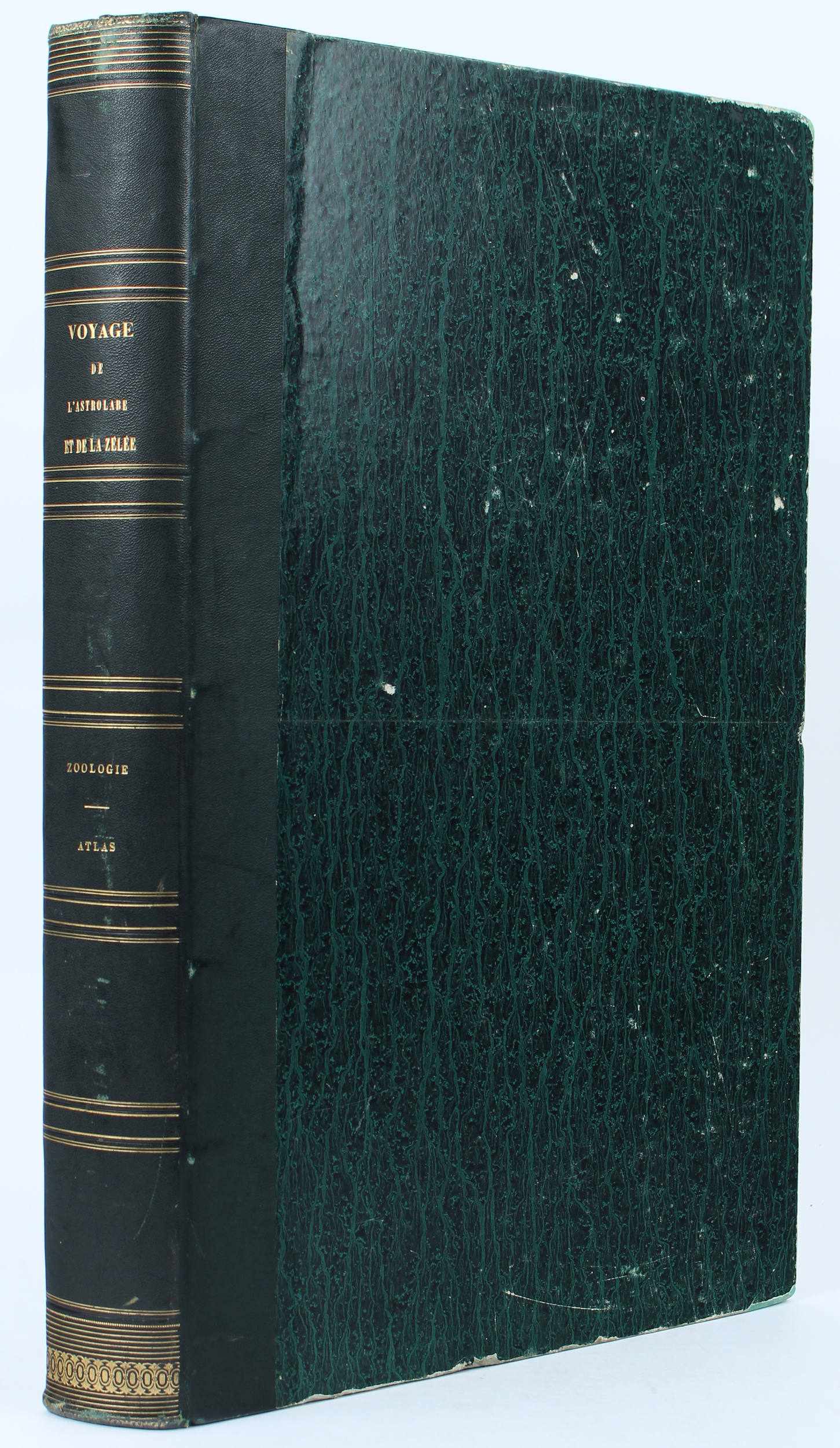 (Hombron), Voyage au pole du sud. Zoologie. Atlas