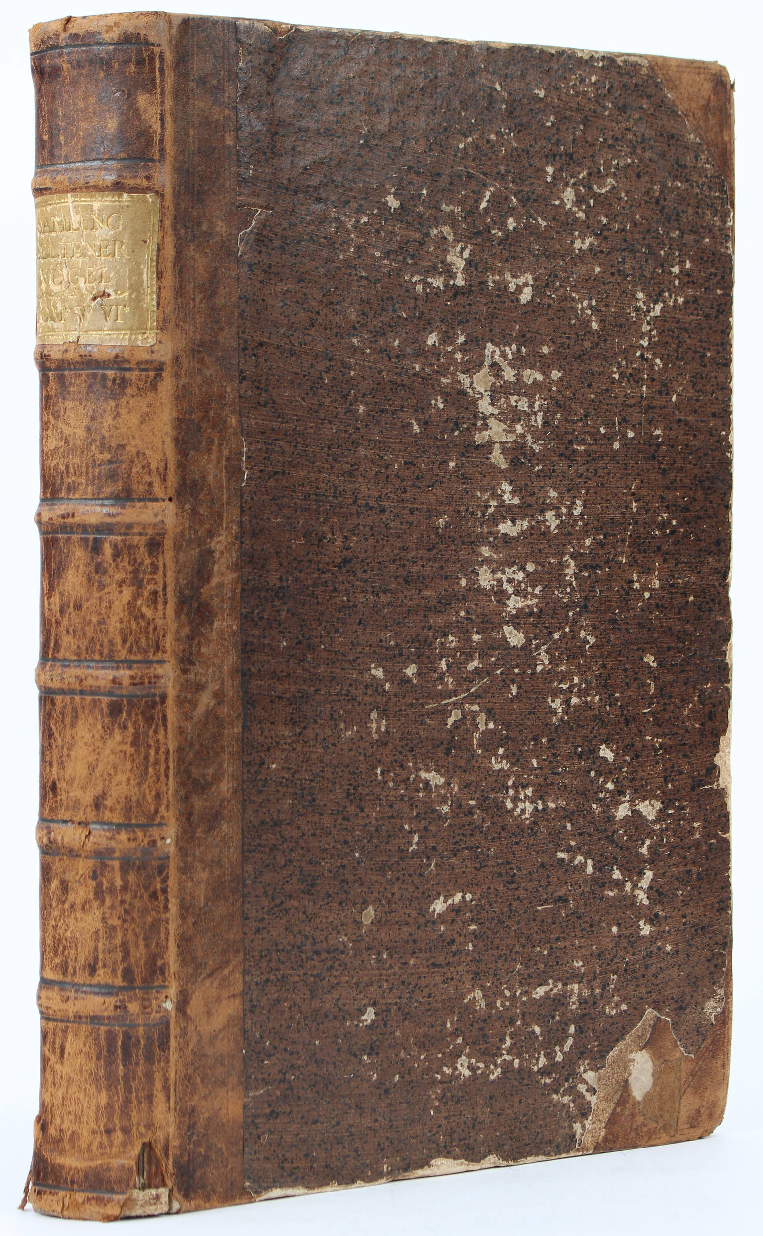 Seligmann. Sammlung seltener Vögel. Teil 5+6 in 1 Bd.