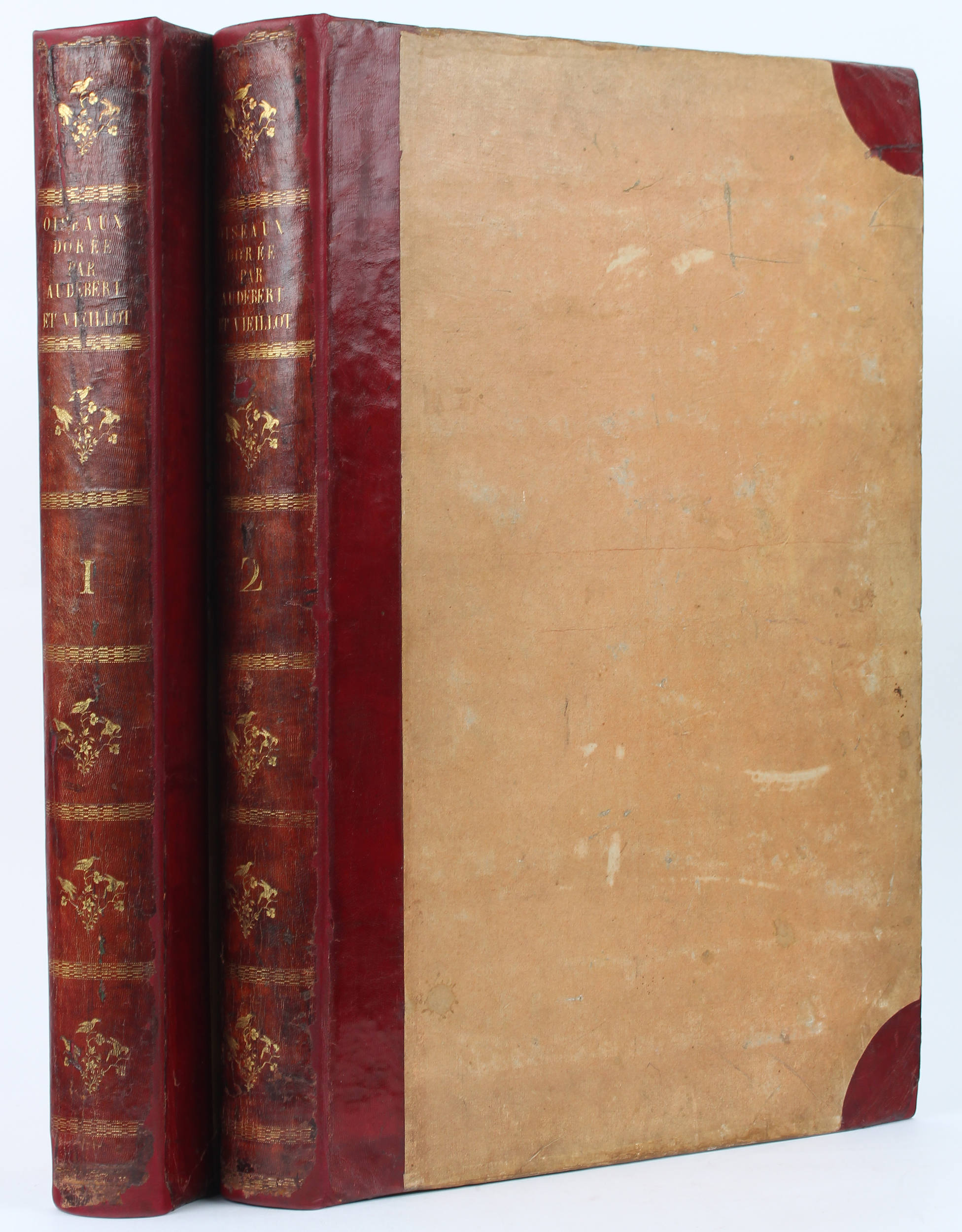 Audebert & Vieillot, Oiseaux dorés. 2 Bde.