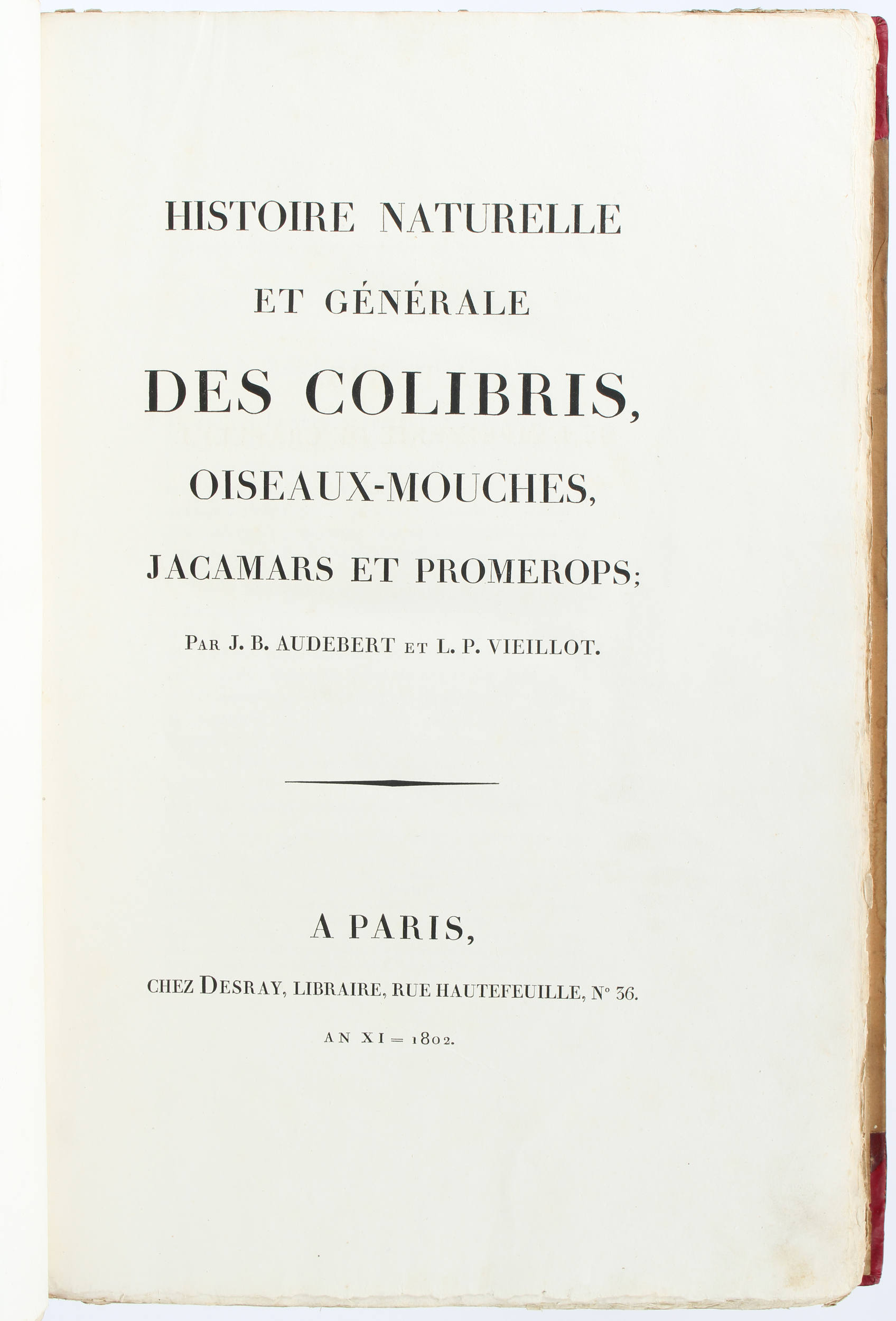 Audebert & Vieillot, Oiseaux dorés. 2 Bde.
