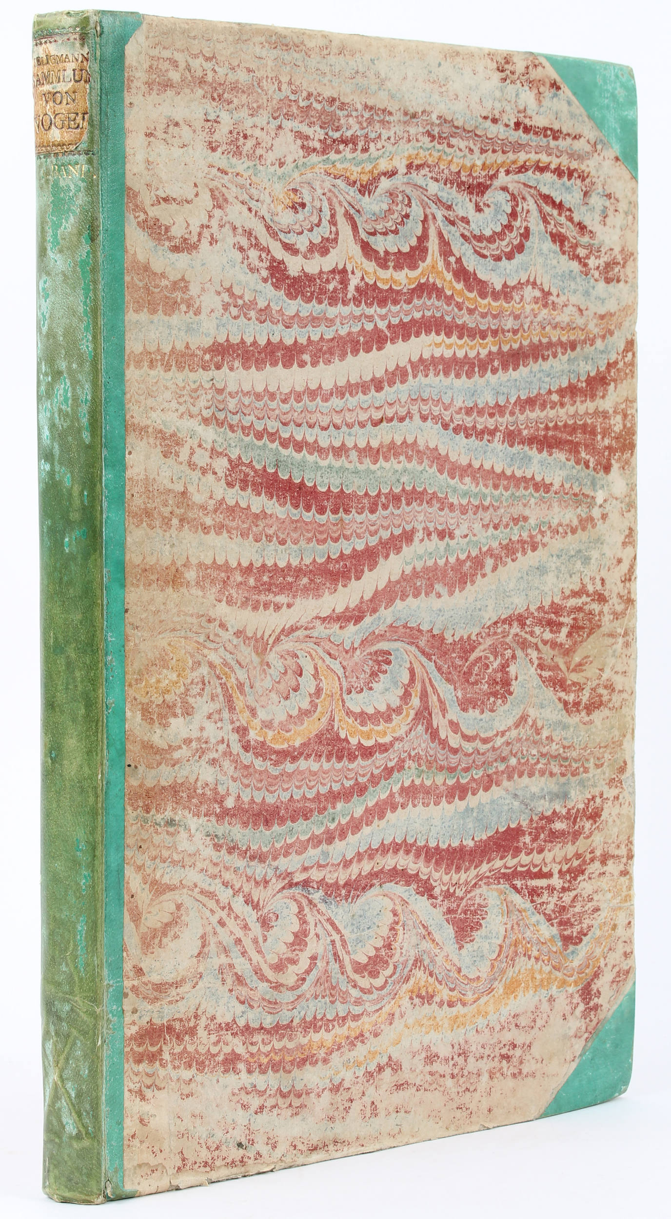 Seligmann. Sammlung seltener Vögel. Teil 1.