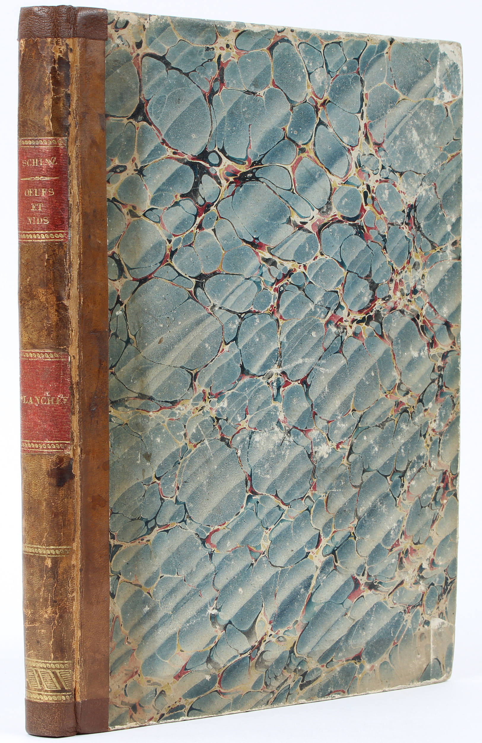 Schinz, Des nids ouvragés et des oeufs des oiseaux