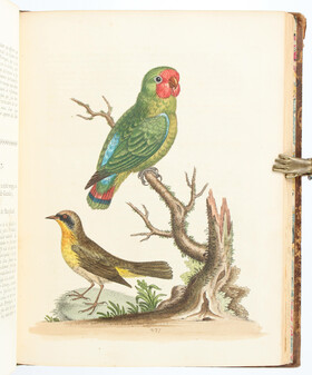 Edwards, Gleanings (Bd.1) + Essays. 2 Bde.