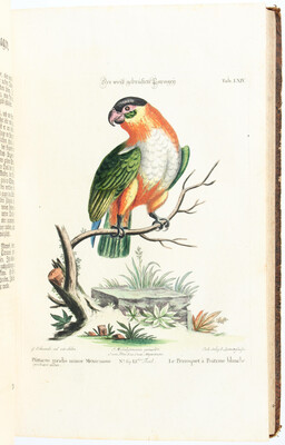 Seligmann. Sammlung seltener Vögel. Teil 5+6 in 1 Bd.