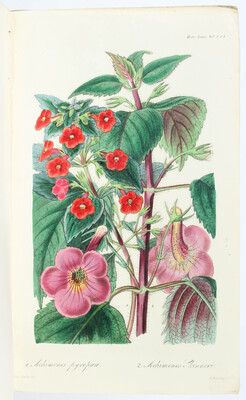 Journal of the Horticultural Society 1846-1853. 27 Bde.