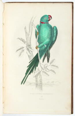 Konvolut Ornithologie. 1807-1837. 9 Bde.