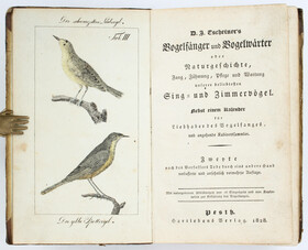 Tscheiner, Vogelfänger und Vogelwärter / 2 Bde.