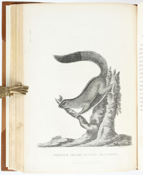 Phillip, Voyage to Botany Bay