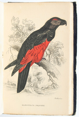 Selby, Naturgeschichte der Papageien / 2 Bde.