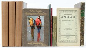 Finsch, Papageien / 9 Bde.