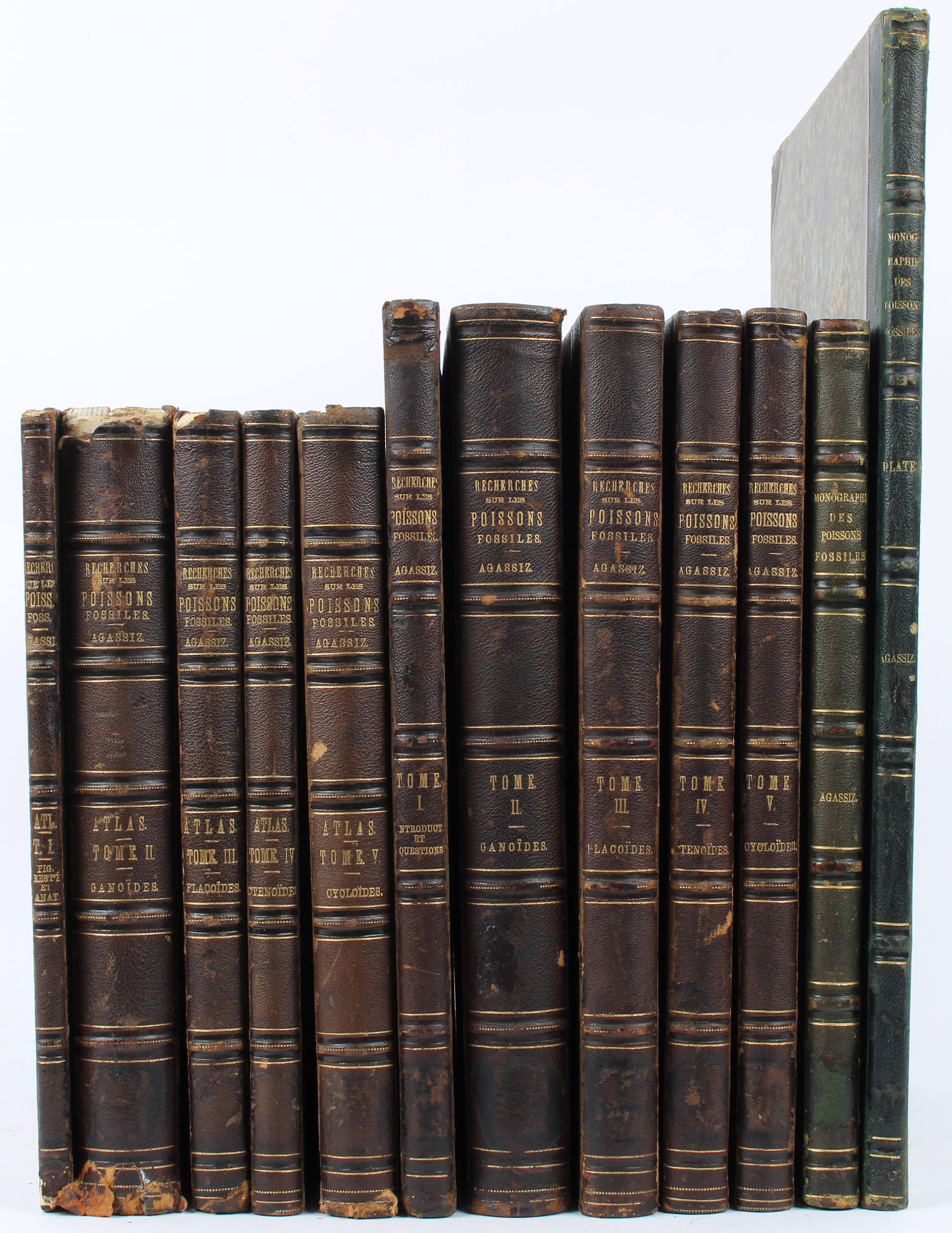 Agassiz, Recherches sur les poissons fossiles / 12 Bde.