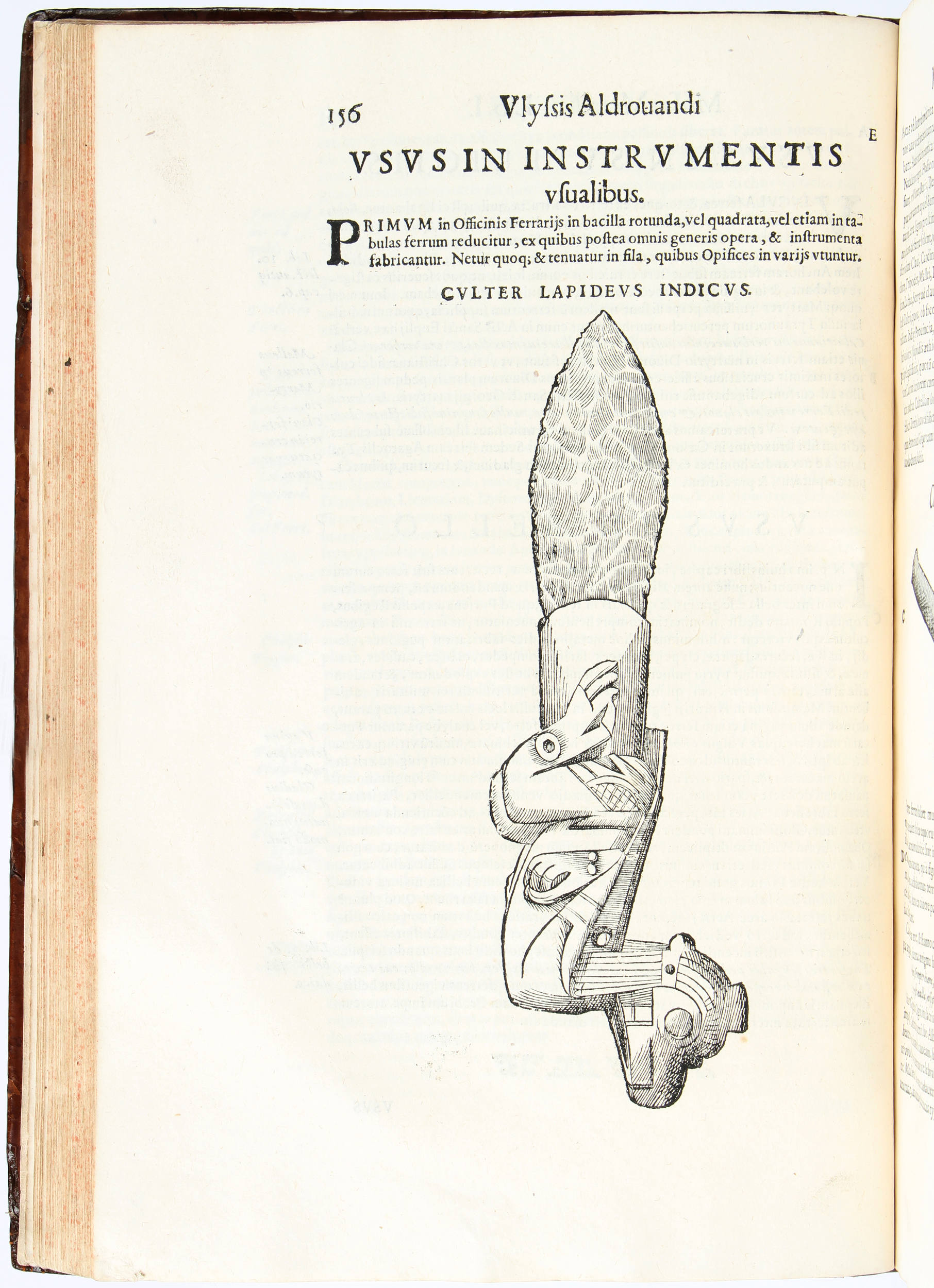 Aldrovandi, Musaeum Metallicarum