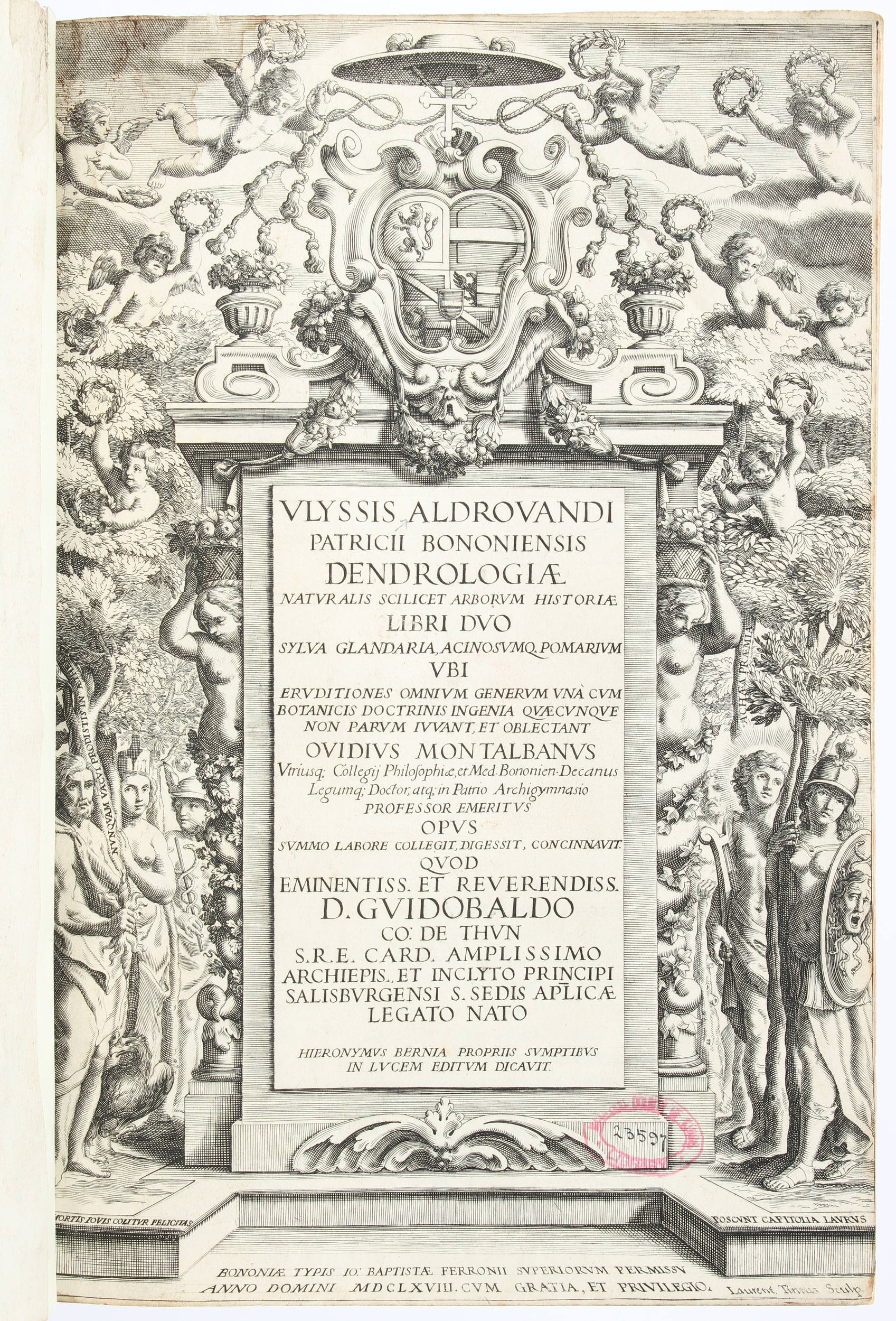 Aldrovandi, Dendrologia