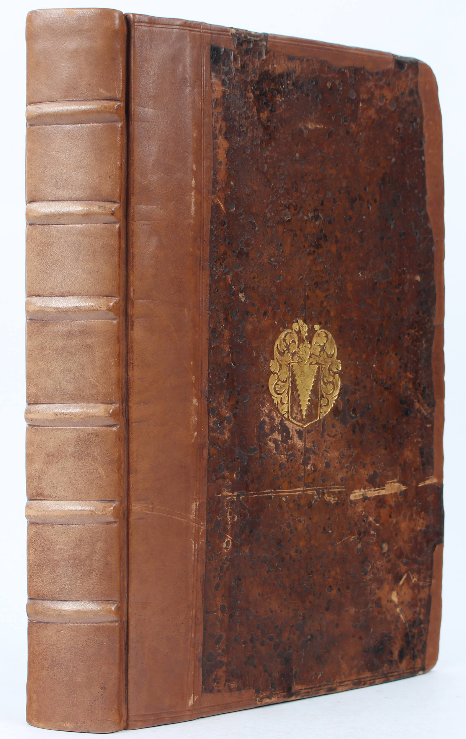 Aldrovandi, Dendrologia