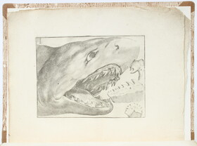 Scilla, De corporibus marinis