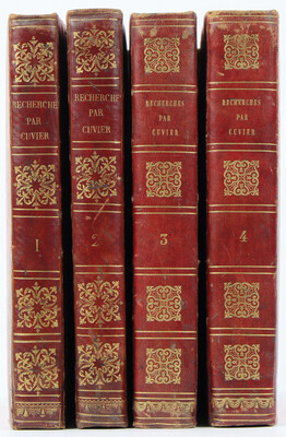 Cuvier, Recherches fossiles. 4 Bde.