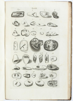 Sendel, Historia succinorum