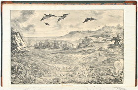 Goldfuss, Petrefacta germaniae. Abbildungen und Beschreibungen