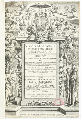 Aldrovandi, Dendrologia